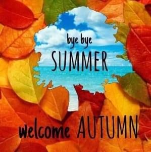 Meet your Posher, Sally